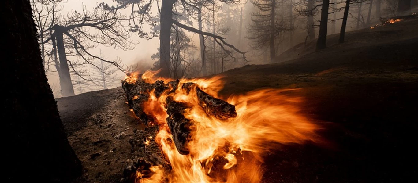 Όρεγκον: Δεκάδες αγνοούμενοι και 24 νεκροί από τις φονικές πυρκαγιές